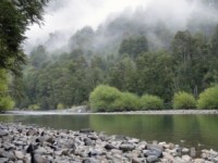 Comité de Ministros da luz verde a hidroeléctrica en Puelo