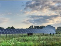 Baja demanda y precios ponen en jaque a industria solar